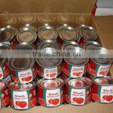 Tomato Ketchup, Factory Direct Sales, 70grams X100tins,Brix 24-26%,26-28%28-30% thumbnail-3