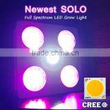 Professional Hydroponics 600w CREEx COB LED Grow Lights With Vegetative Bloom Spectrum