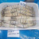 FROZEN HEAD ON BLACK TIGER SHRIMPS thumbnail-1