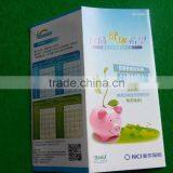 Full Color Printing Brochure With FREE DESIGN thumbnail-3