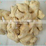 Dried Whole Ginger Chinese Professional Factory "HOT SALE" Price thumbnail-1