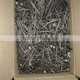 Common Wire Nail Factory China Supplier Pallet Used Pallet Nails thumbnail-5