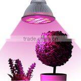 XQD LED Grow Light Bulb Full Spectrum Hydroponic LED Light thumbnail-5