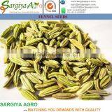 Fennel Seed thumbnail-1