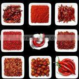 HOT SPICY RED CHILI EXPORTER thumbnail-5