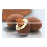 Tiramisu Almond Chocolate