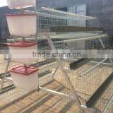 Top selling best quality chicken cage layer cage battery cage Atype cage