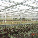 Greenhouse From Beijing in China