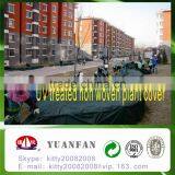 Polypropylene Agriculture Plastic Ground Cover Mesh thumbnail-3