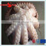 Frozen Flowered Baby Octopus thumbnail-2