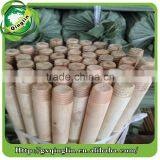 Eucalyptus Natural Wood Logs Wooden Stic thumbnail-5
