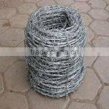 Galvanized Barbed Wire