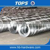 China Hot Sale Galvanized Iron Wire / Black Iron Wire / Pvc Coated Wire thumbnail-2