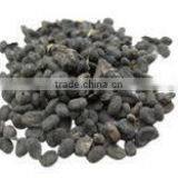 India Psoralea Corylifolia thumbnail-3