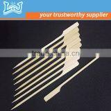 Cheap Price Newest Wholesale Birch Bamboo Skewer With CE Certificate
