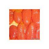 Sell Canned Tomato thumbnail-1