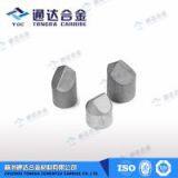 Carbide Wedge Buttons thumbnail-1