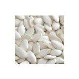 White Pumpkin Seeds