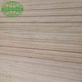 Linyi 18mm gray melamine board plywood from Greentre