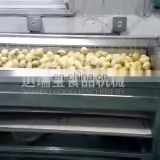 Automatic Brush Rollers Potato Peeler Washing Machine,Lotus Root/Ginger/Fruit Cleaning Washer