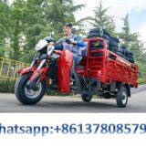 Gasoline Tricycle Cargo Loader Lovol Three Wheeler Mali Ethiopia Ghana Bukina Faso Tanzania Kenya Senegal Togo Benin Nigeira Mauritania Angola Burundi Chad Cameroon C ô te D'Ivoire Gabon Guinea Mozambique Rwanda Congo Uganda Zimbabwe