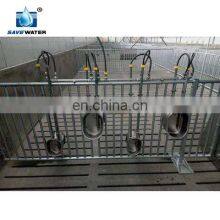 Pig Drinking Bowl With Nipple Drinker for Farrowing Crate thumbnail-5