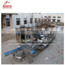 CE Certificated Banana Washing Drying Processing Line thumbnail-2