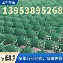 TGLG-PP-200-400-1.5High Strength Honeycomb Geogrid Chamber Slope Protection Retaining Wall thumbnail-2