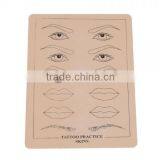Permanent Makeup Eyebrow Lips Picture Tattoo Simulation Practice Skin Beige For Beginners P002 thumbnail-2