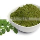 ISO 22000:2005 Certified Moringa Leaf Powder for Export