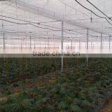 Large Green House Supplliers In China thumbnail-2