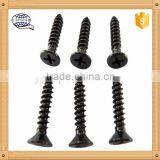 Factory Phillip Pan Head Stainless Steel Self Tapping Screw thumbnail-1