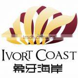 Business Personal Logo Design