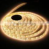 3528 5m 500cm Warm White 600 LED SMD Flexible Light Strip Lamp Waterproof DC 12V