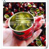Good Quality Natural Fresh Tin Canned /sachet Red Tomato Paste thumbnail-3