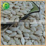 Shine Skin Pumpkin Seeds High Quality thumbnail-3
