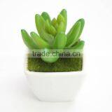 Artificial Plants Succulent Plant Type and PE Foam Material Mini Artificial Plants thumbnail-6
