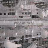 Chicken Cage&Rabbit Cage&Pigeon Cage thumbnail-1