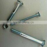 Carriage Bolt