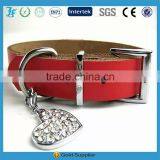 Cow Collars, Turnout Halters and Control Halters thumbnail-1