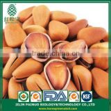 Wholesale Natural and Pure Organic Cedar Open Pine Nuts in Shell