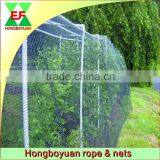 diamond knitting anti bird net for catching bird