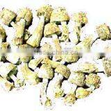 100% Natural High Quality Agaricus Blazei Extract thumbnail-1