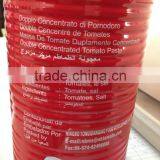 850G High Quality Manufactory China Factory Canned Tomato Paste thumbnail-5