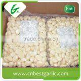 Vacuum Packed Fresh Peeled Garlic Cloves thumbnail-3