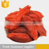 fresh dried gojiberry for export