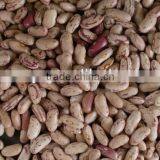 CHINESE RED SPECKLED KIDNEY BEANS thumbnail-2