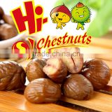Roasted peeled dried chestnuts for sale