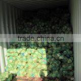 Old Coconut thumbnail-4