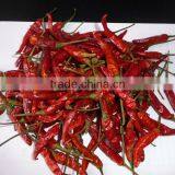 High-quality Tianyu Chilli With High Hot Degree thumbnail-1